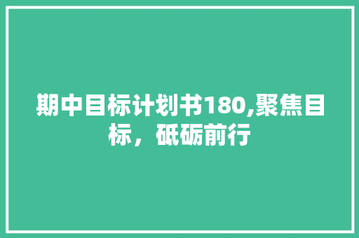 期中目标计划书180,聚焦目标，砥砺前行