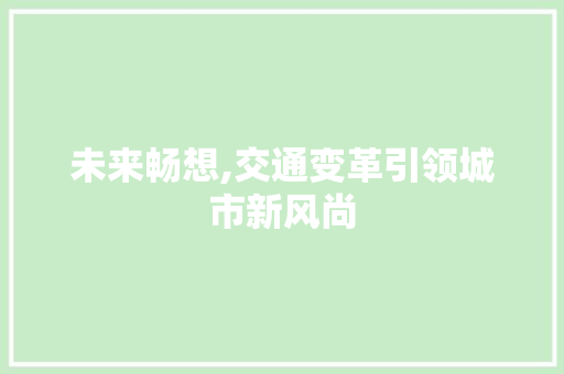 未来畅想,交通变革引领城市新风尚