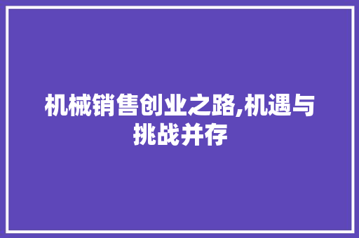 机械销售创业之路,机遇与挑战并存