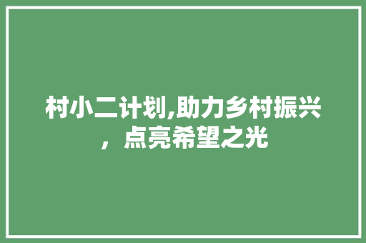 村小二计划,助力乡村振兴，点亮希望之光