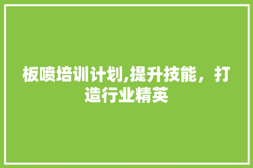 板喷培训计划,提升技能，打造行业精英