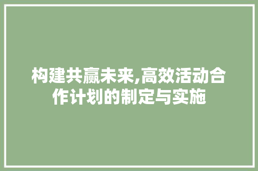 构建共赢未来,高效活动合作计划的制定与实施