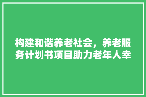 构建和谐养老社会，养老服务计划书项目助力老年人幸福生活