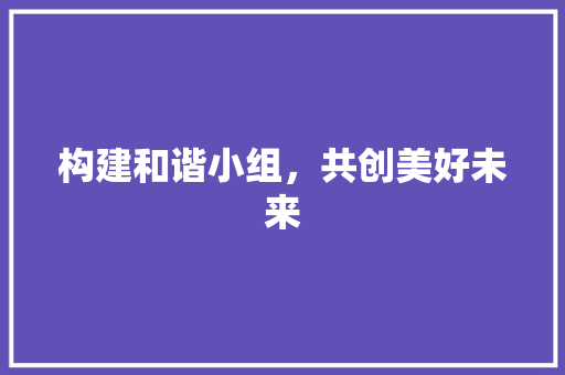 构建和谐小组，共创美好未来