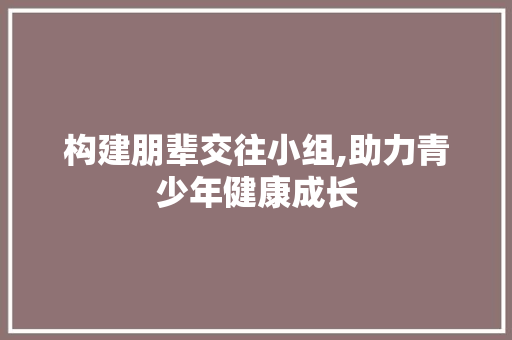 构建朋辈交往小组,助力青少年健康成长