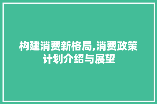 构建消费新格局,消费政策计划介绍与展望