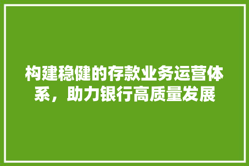 构建稳健的存款业务运营体系，助力银行高质量发展