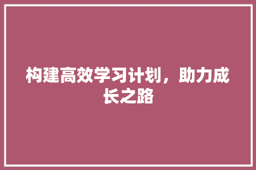 构建高效学习计划，助力成长之路