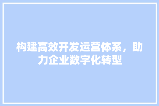 构建高效开发运营体系，助力企业数字化转型