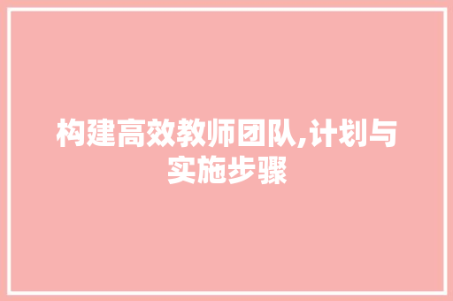 构建高效教师团队,计划与实施步骤