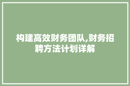 构建高效财务团队,财务招聘方法计划详解