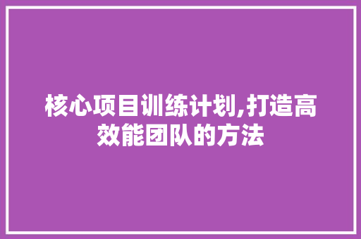 核心项目训练计划,打造高效能团队的方法