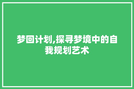 梦回计划,探寻梦境中的自我规划艺术