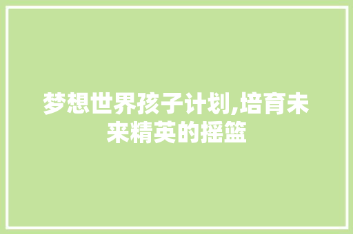 梦想世界孩子计划,培育未来精英的摇篮