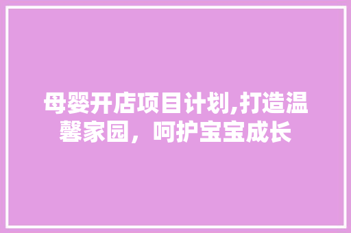 母婴开店项目计划,打造温馨家园，呵护宝宝成长