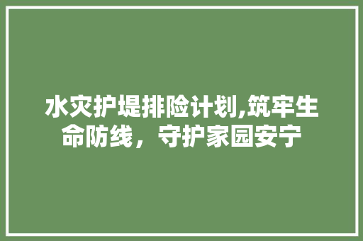 水灾护堤排险计划,筑牢生命防线，守护家园安宁