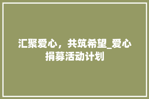 汇聚爱心，共筑希望_爱心捐募活动计划