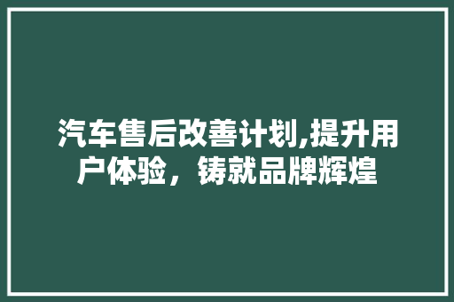 汽车售后改善计划,提升用户体验，铸就品牌辉煌