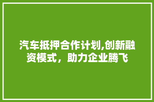 汽车抵押合作计划,创新融资模式，助力企业腾飞 会议纪要范文