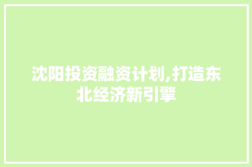 沈阳投资融资计划,打造东北经济新引擎