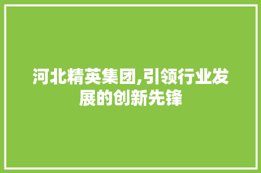 河北精英集团,引领行业发展的创新先锋