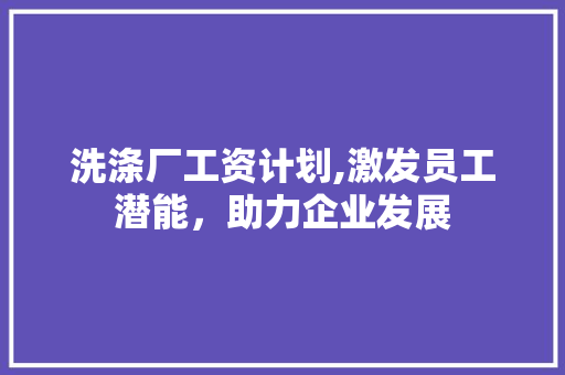 洗涤厂工资计划,激发员工潜能，助力企业发展