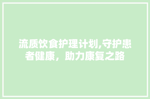 流质饮食护理计划,守护患者健康，助力康复之路