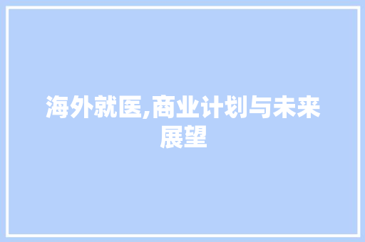 海外就医,商业计划与未来展望