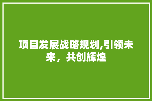 项目发展战略规划,引领未来，共创辉煌 职场范文