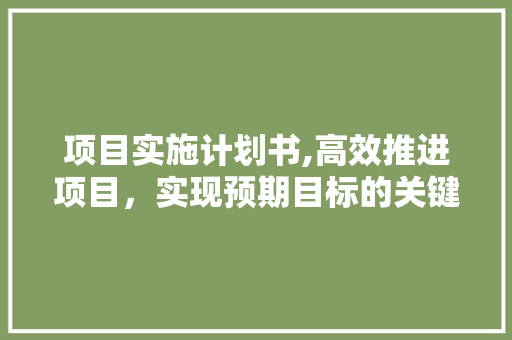 项目实施计划书,高效推进项目，实现预期目标的关键路径