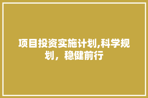 项目投资实施计划,科学规划，稳健前行