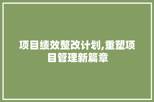 项目绩效整改计划,重塑项目管理新篇章