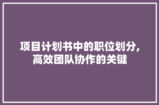 项目计划书中的职位划分,高效团队协作的关键