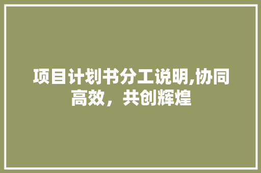 项目计划书分工说明,协同高效，共创辉煌