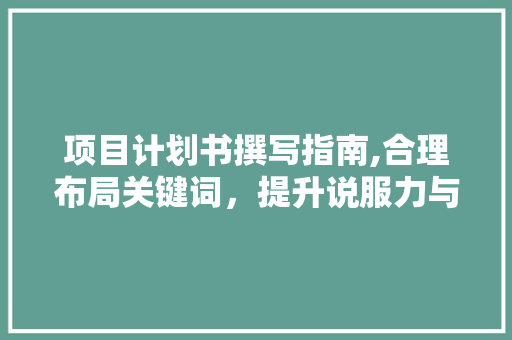 项目计划书撰写指南,合理布局关键词，提升说服力与阅读体验