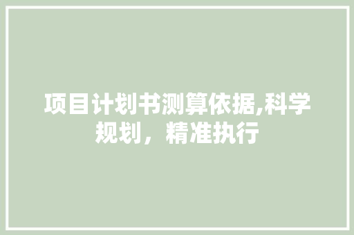 项目计划书测算依据,科学规划，精准执行