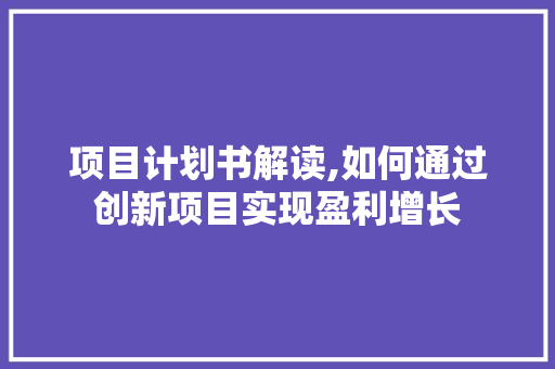 项目计划书解读,如何通过创新项目实现盈利增长