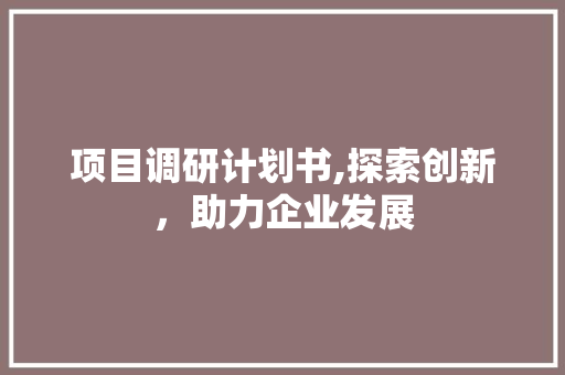 项目调研计划书,探索创新，助力企业发展