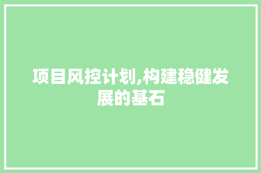 项目风控计划,构建稳健发展的基石