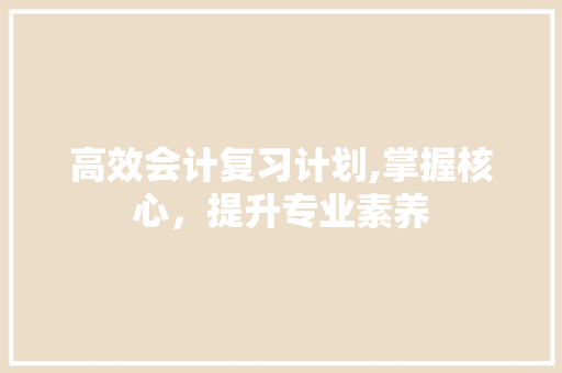 高效会计复习计划,掌握核心，提升专业素养