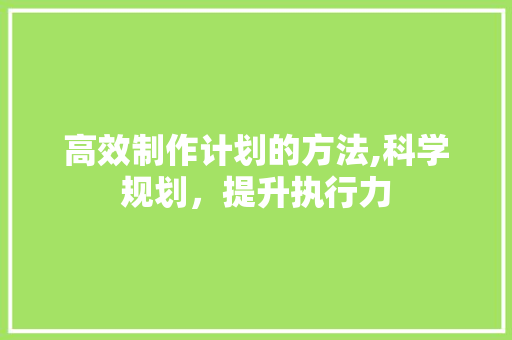 高效制作计划的方法,科学规划，提升执行力 致辞范文