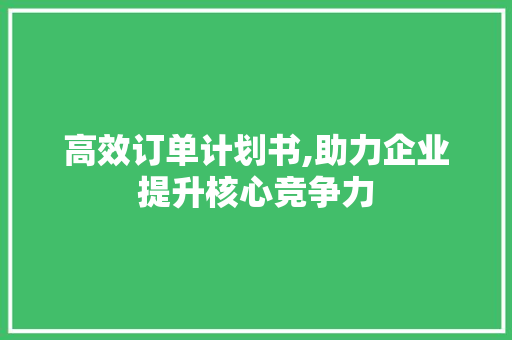 高效订单计划书,助力企业提升核心竞争力