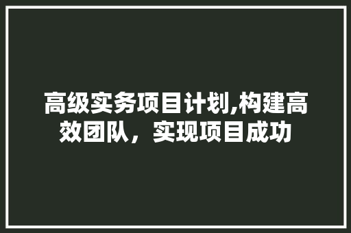 高级实务项目计划,构建高效团队，实现项目成功