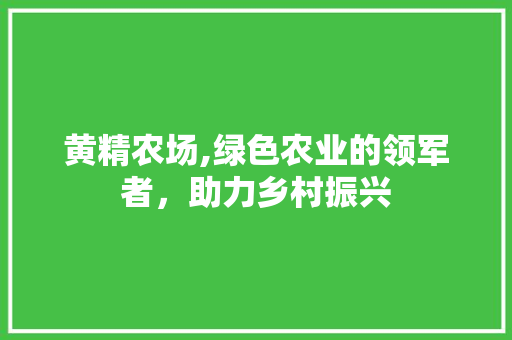 黄精农场,绿色农业的领军者，助力乡村振兴