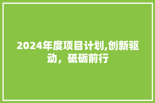 2024年度项目计划,创新驱动，砥砺前行