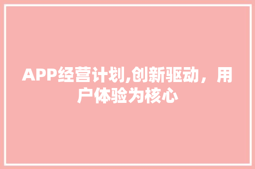 APP经营计划,创新驱动，用户体验为核心