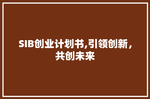 SIB创业计划书,引领创新，共创未来