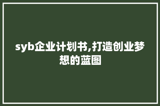 syb企业计划书,打造创业梦想的蓝图