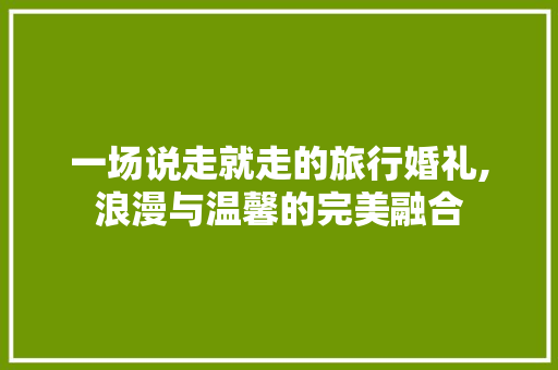 一场说走就走的旅行婚礼,浪漫与温馨的完美融合