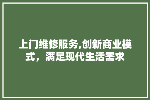 上门维修服务,创新商业模式，满足现代生活需求